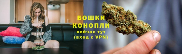 PSILOCYBIN Богородск