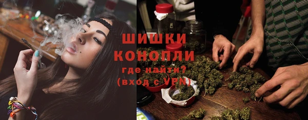 PSILOCYBIN Богородск